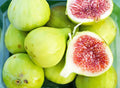 Strawberry Verte Fig Cutting (Ficus carica) – 6–8” Unrooted Cutting for Rooting, Propagation, or Grafting – Sweet Green Fig Variety