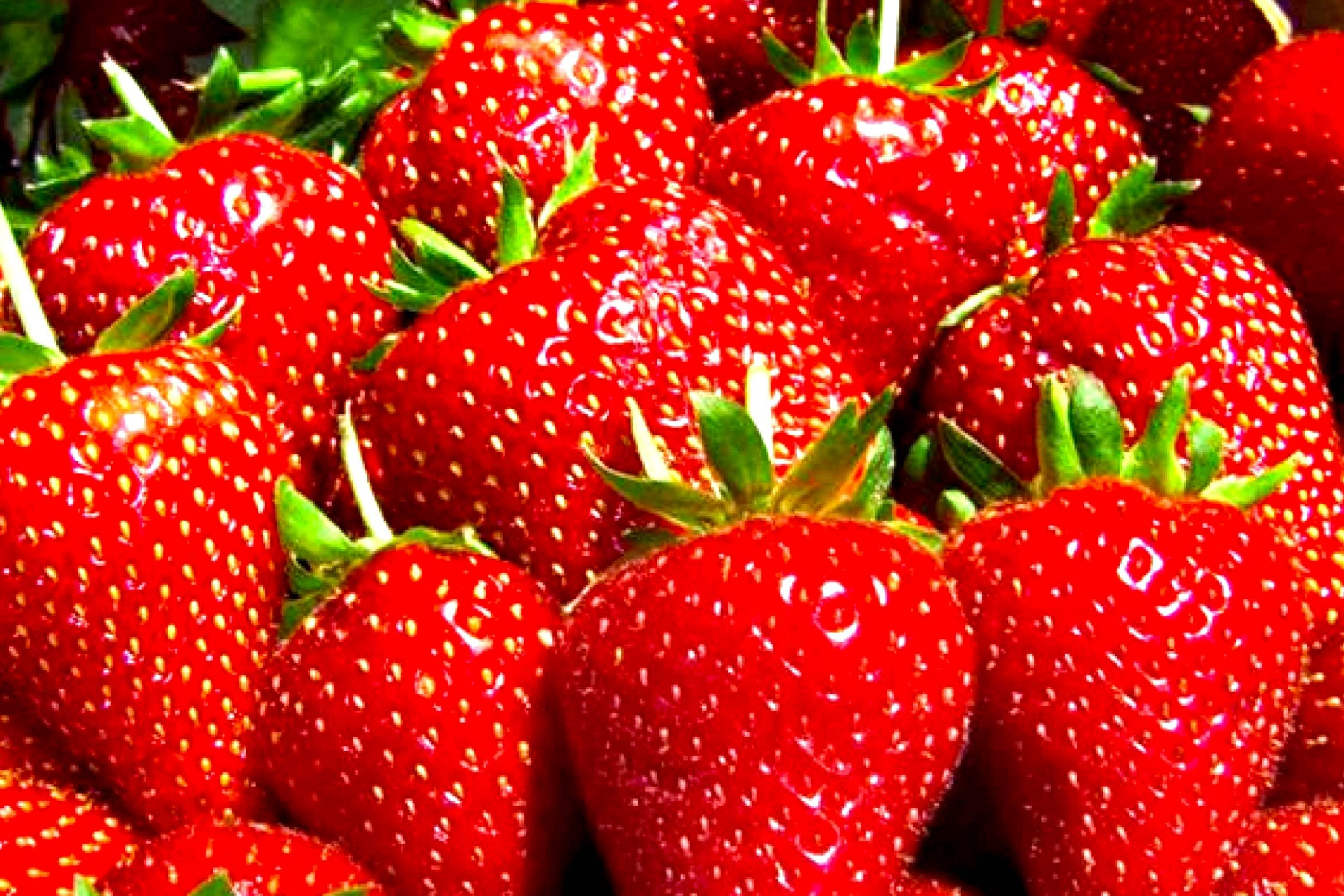 Berry Red Strawberry Seeds - 150 Non-GMO Flower Seeds - Fragaria x ananassa