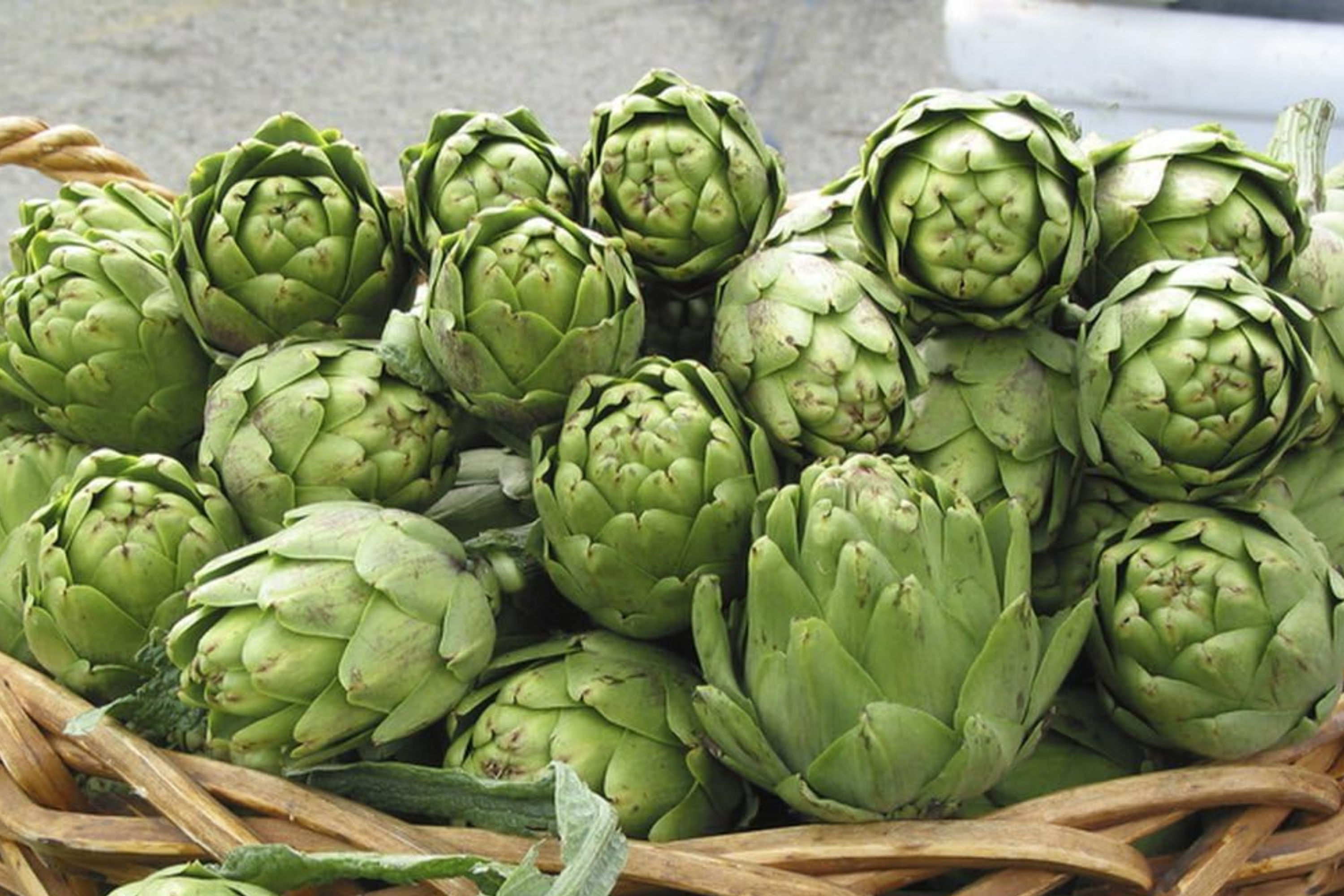 Green Globe Artichoke Seeds - 50+ Non-GMO Heirloom Fresh Garden Seeds - Cynara scolymus