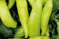 Hungarian Wax Pepper Seeds | Non-GMO | Fresh Garden Seeds | Capsicum annuum