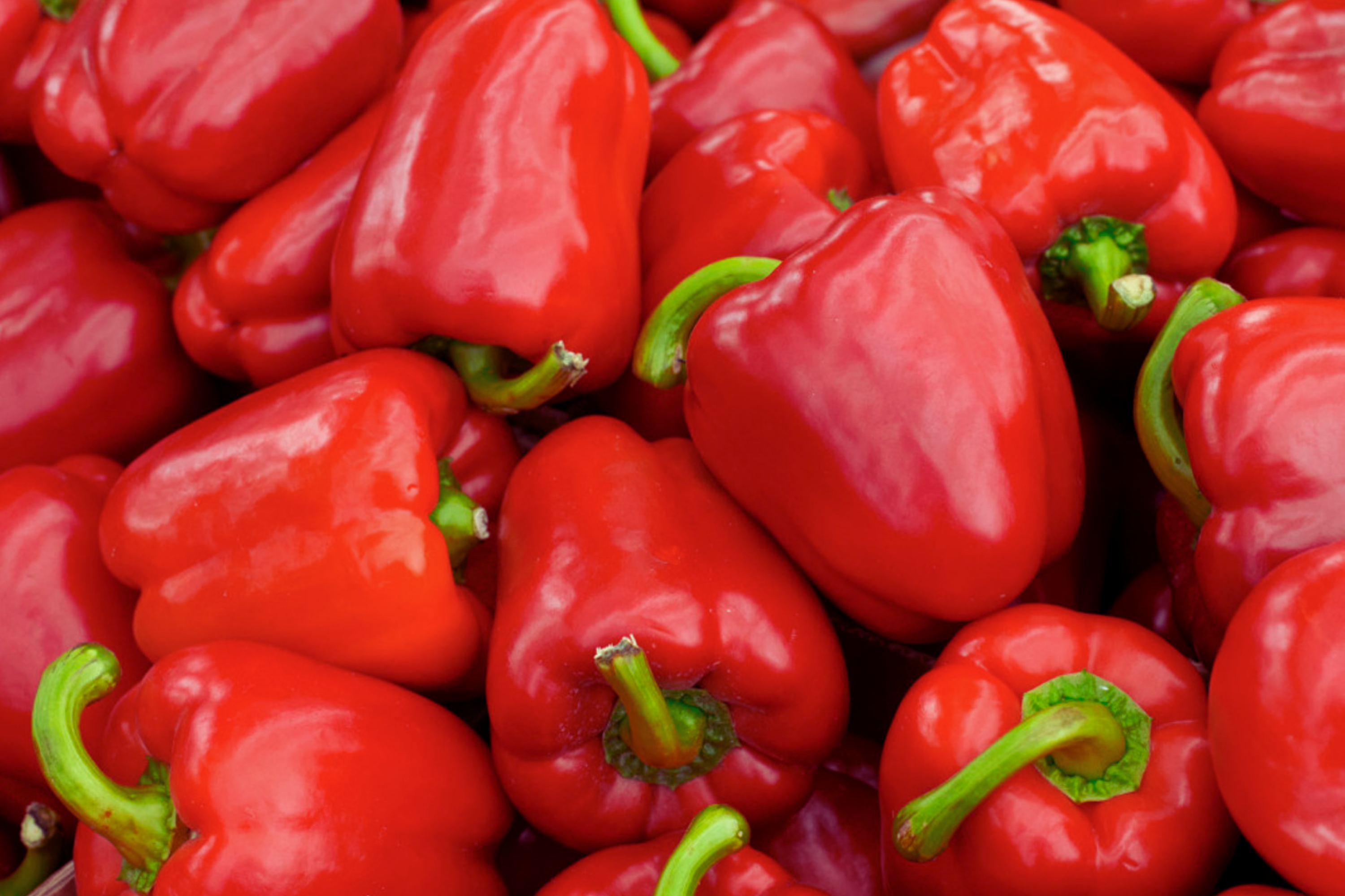 Sweet Red Bell Pepper Seeds | Non-GMO Heirloom | Fresh Garden Seeds | Capsicum annuum