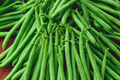 Top Crop Bush Bean Seeds | Non-GMO Heirloom Variety | Fresh Garden Seeds | Phaseolus vulgaris