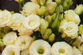 Lisianthus Seeds - Everlast Mix - Non-GMO Heirloom Flower Seeds - Eustoma grandiflorum