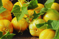 Lemon Cucumber Seeds - 50+ Non-GMO Seeds for Gardening - Cucumis sativus