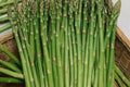 Asparagus Mary Washington 1 Gram Seeds - Heirloom Non-GMO Variety for Perennial Vegetable Gardening - Tender & Delicious Stalks