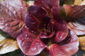 Red Romaine Lettuce Seeds | Non-GMO Red Cos Lettuce | Organic Heirloom Variety | Lactuca sativa