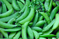 Sugar Snow Pea Seeds | NON-GMO | Melting Sugar Variety | Pisum sativum