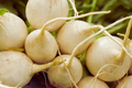 Hailstone Radish Seeds - White Globe - NON-GMO Vegetable Seeds - Raphanus sativus