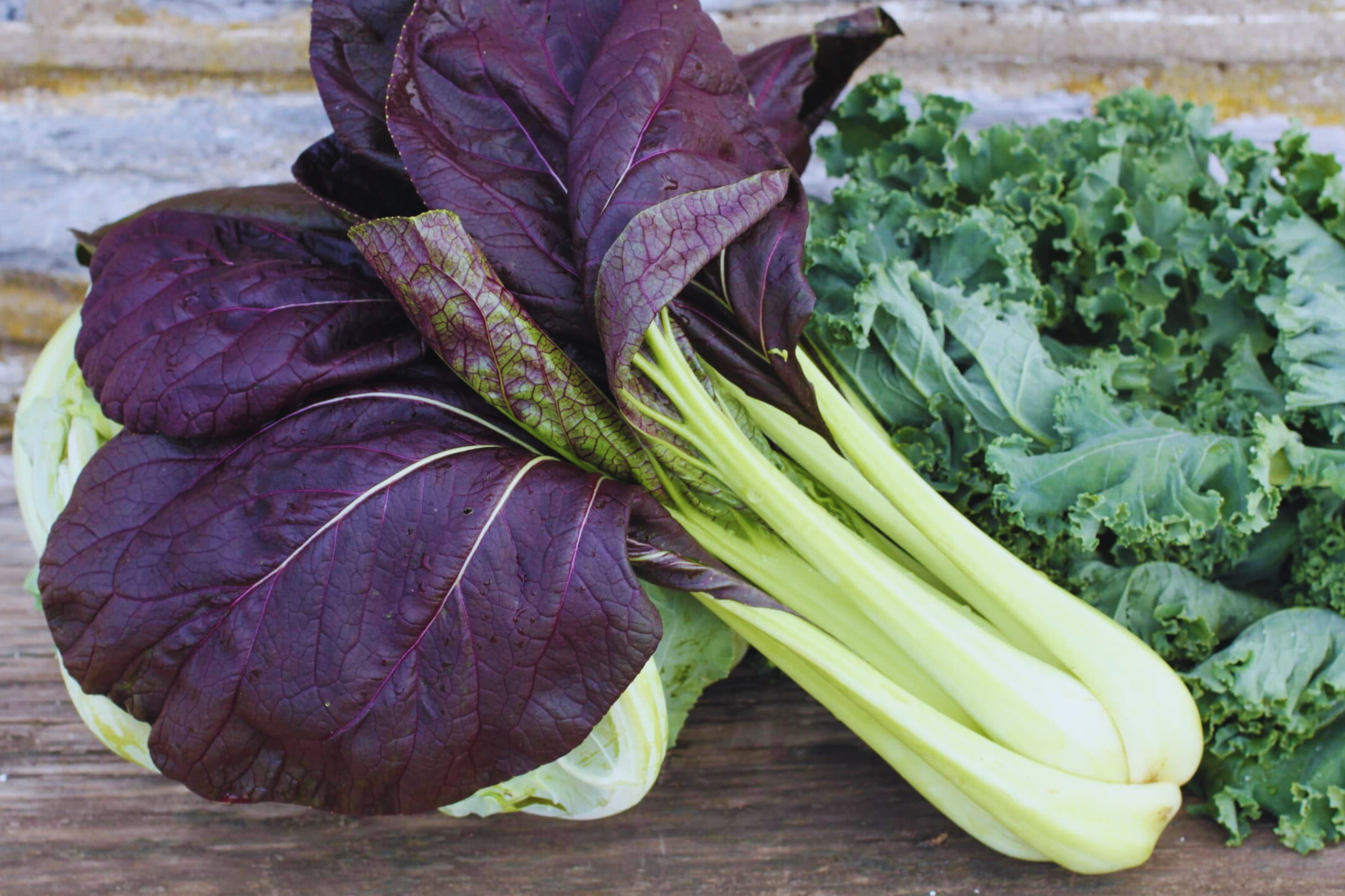 Purple Pak Choy Seeds | Non-GMO Purple Bok Choy | Brassica rapa var. chinensis