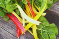 Rainbow Mixture Swiss Chard Seeds | Bright Lights | NON-GMO | Beta vulgaris subsp. cicla