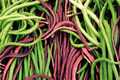 Red Noodle Yardlong Bean Seeds - Asparagus Bean, Chinese Long Bean, Heirloom Variety, Vigna unguiculata subsp. sesquipedalis