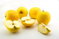 Super Rare Opal Apple Cuttings (Malus domestica ‘Opal’) – 3 Fresh Scions for Rooting, Grafting, Yellow Sweet Crisp Apple