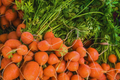 Parisian Carrot Seeds | Daucus Carota | Heirloom Vegetable Seeds | Organic, Non-GMO, Easy to Grow