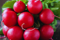 Crimson Giant Radish Seeds - Big Round Red Vegetable Seeds - Raphanus sativus