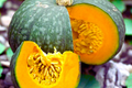 Japanese Kabocha 10 Seeds - Heirloom Green Pumpkin - Winter Squash (Cucurbita maxima) - Organic Non-GMO