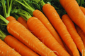 Little Fingers Carrot Seeds - Daucus Carota - Heirloom Vegetable Seeds for Home Garden Planting
