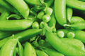 Sugar Snap Pea Seeds | NON-GMO | Original Snap Pea Variety | Pisum sativum