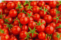 Large Red Cherry Tomato Seeds - 100+ Heirloom Vegetable Seeds for Garden - Solanum lycopersicum
