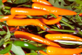 Golden Cayenne Hot Pepper Seeds | Non-GMO | Gold Cayenne Chile Pepper | Capsicum annuum
