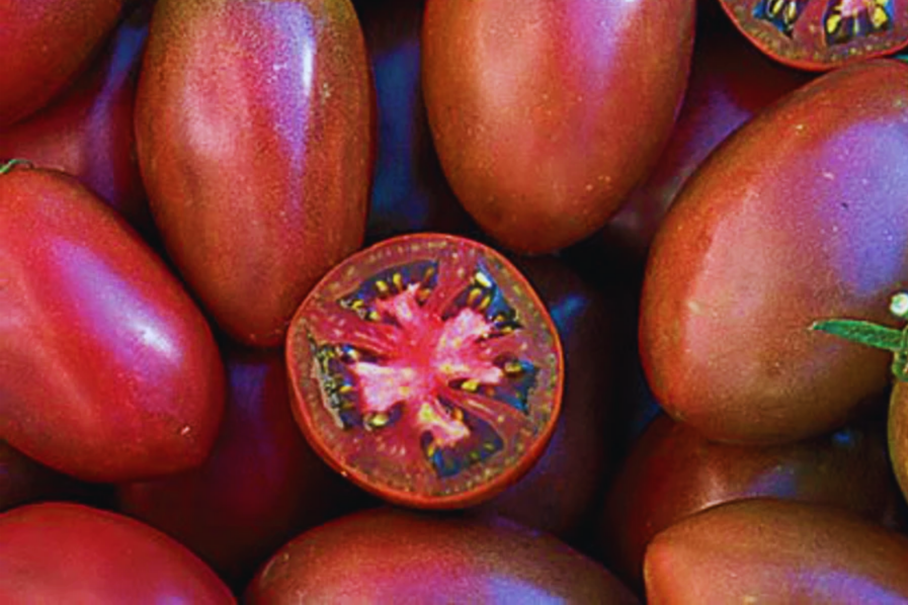 Ukrainian Purple Tomato Seeds, Super Sweet Grape Variety, NON-GMO, Heirloom, Solanum lycopersicum