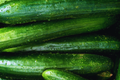 Cucumber Seeds | Asia Summer Variety | NON-GMO, Organic | Cucumis sativus