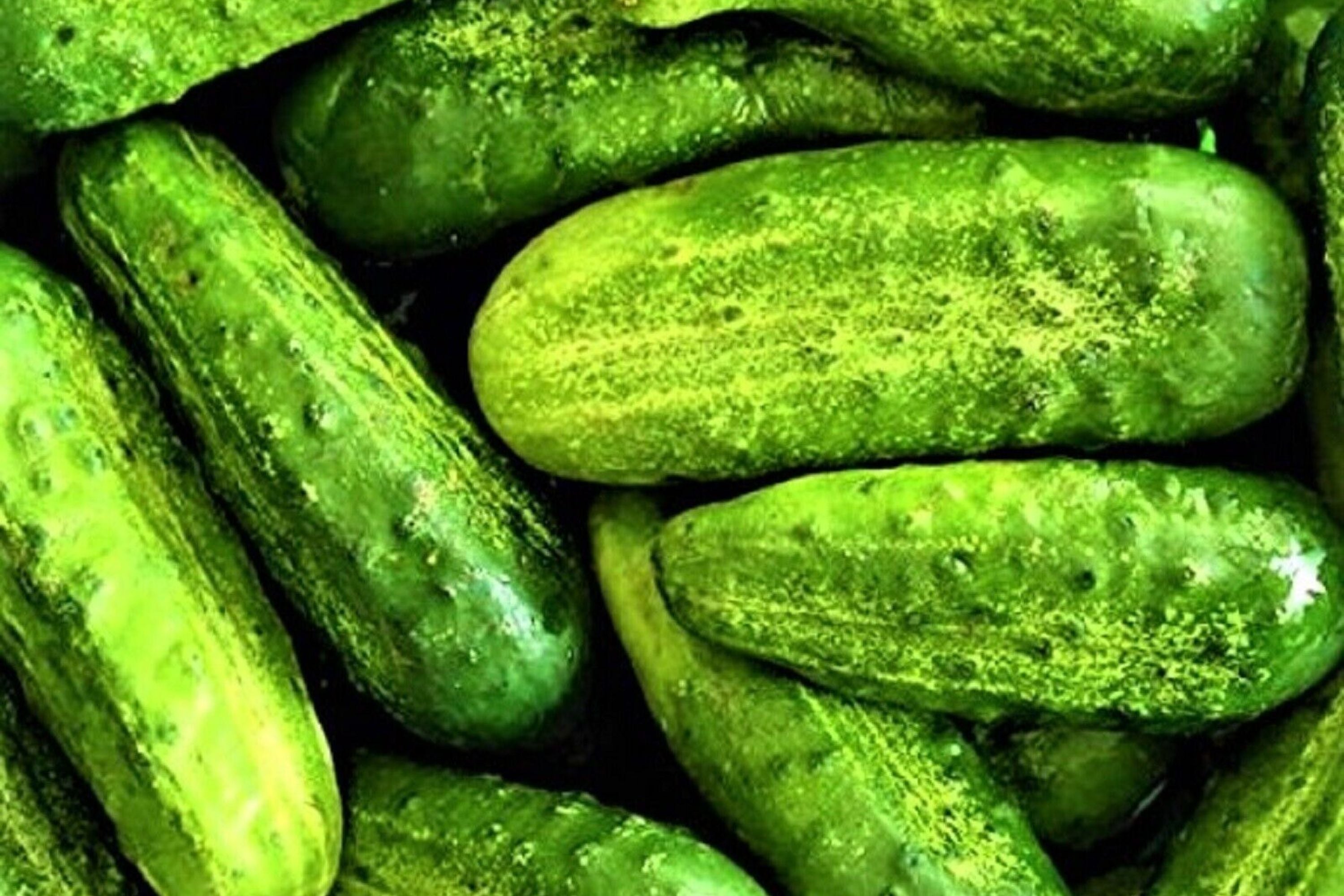 Pickling Cucumber Seeds - 50+ Seeds Wisconsin SMR-58 - Fresh Garden Seeds from USA