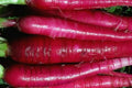 Long Red Radish Seeds 300+ Non-GMO Heirloom Vegetable Garden Seeds Raphanus sativus