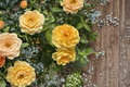 Julia Child Rose Cuttings – 3 Live Unrooted Rose Stems 5–8 Inch for Propagation and Garden Planting