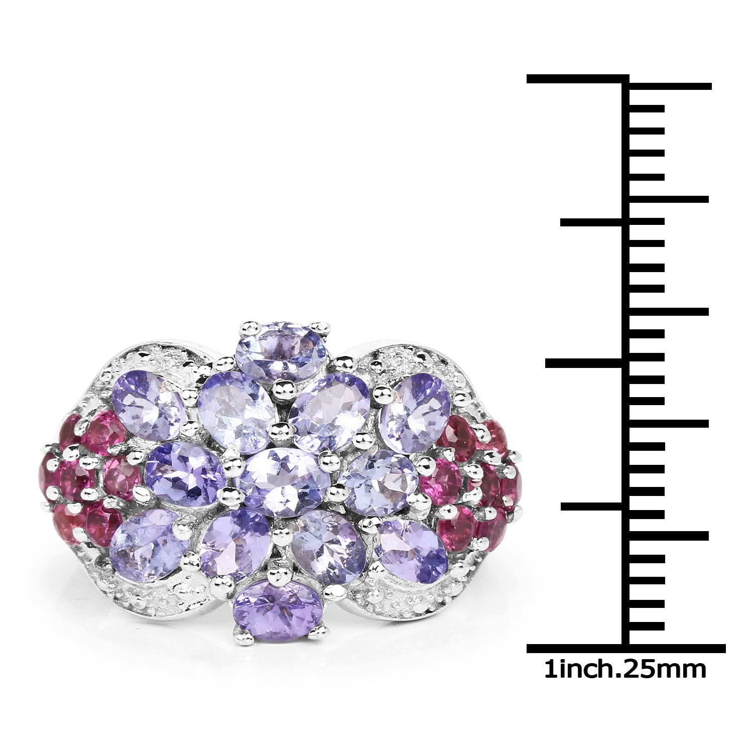 2.91 Carat Genuine Tanzanite and Rhodolite .925 Sterling Silver Ring