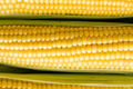 Baby Corn Seeds - Non-GMO Heirloom Fresh Garden Seeds for Pickling - Ideal for Home Gardening & Preserving