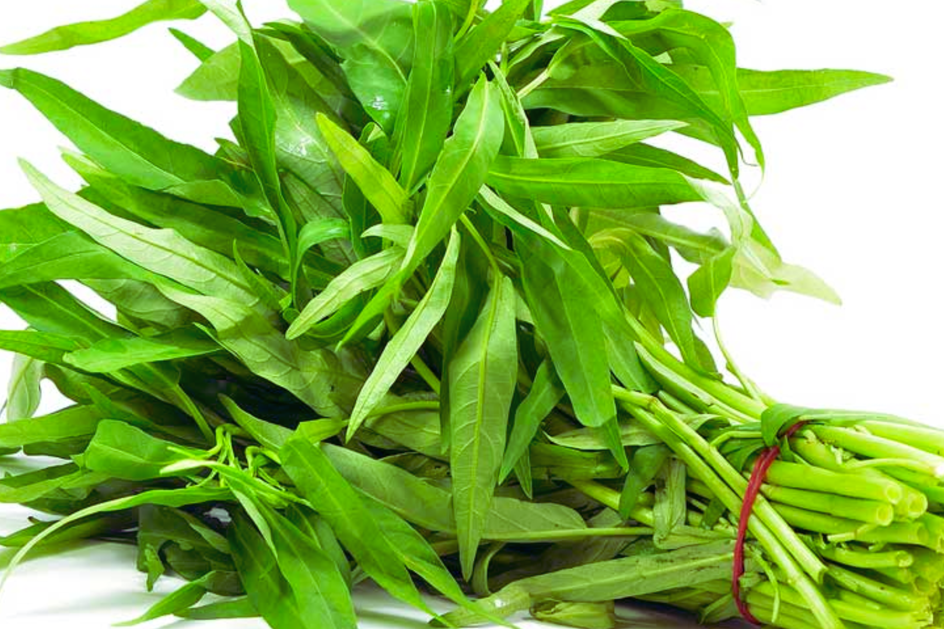 Thai Water Spinach Seeds - Ong Choy Kangkong, Non-GMO Garden Seeds for Home Planting | Ipomoea aquatica