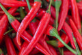 Hot Cayenne Long Slim Pepper Seeds - 40+ NON-GMO Heirloom Fresh Pepper Seeds - Capsicum annuum