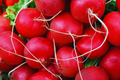Radish Seeds | Non-GMO Vegetable Garden Seeds | Fast-Growing, Crisp Varieties | Raphanus sativus