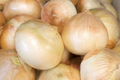 250mg Walla Walla Sweet Onion Seeds | Allium cepa Vegetable | Mild, Sweet Flavor, High Yield, Easy to Grow Garden Favorite