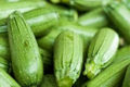 1g Dark Green Zucchini Seeds Cucurbita pepo | High-Yield, Non-GMO Summer Squash, Easy-Grow Vegetable Garden Essential