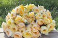 Moonlight Romantica Rose Unrooted Cuttings 3 Fresh 6 Inch Stems for Propagation Ornamental Garden Rose