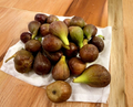 Violetta Fig Tree Unrooted Cuttings Set of 4 Cold Hardy Fig Propagation for Rooting