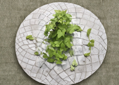 Sweet Potato Vine Rooted Cuttings Set of 6 Ipomoea Batatas Green Ornamental Vine Live Plants