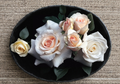 French Lace Rose Cuttings 3 Pack Unrooted Stems for Rooting Ornamental Garden Rose Propagation
