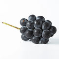 6pcs Japanese Kyoho Grape Cuttings – Unrooted Vitis vinifera × Vitis labrusca, Sweet Giant Fruit, Grow Your Own Table Grapes