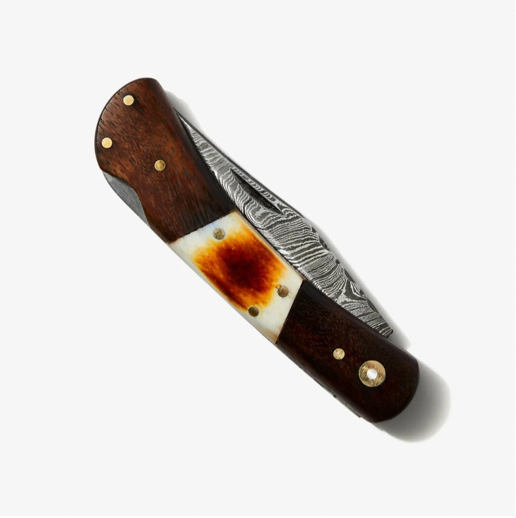 Walnut & Torched Bone Damascus Pocket Knife - TF-091