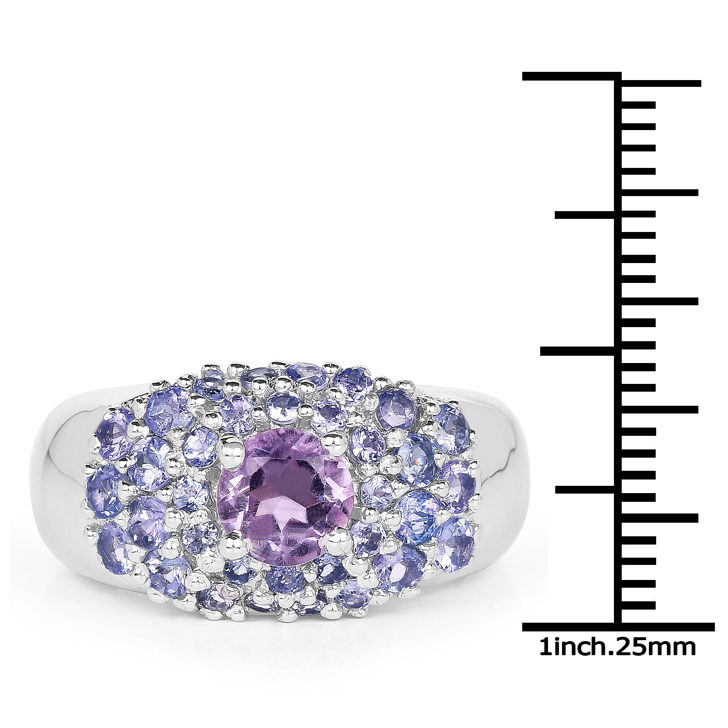 2.43 Carat Genuine Amethyst and Tanzanite .925 Sterling Silver Ring