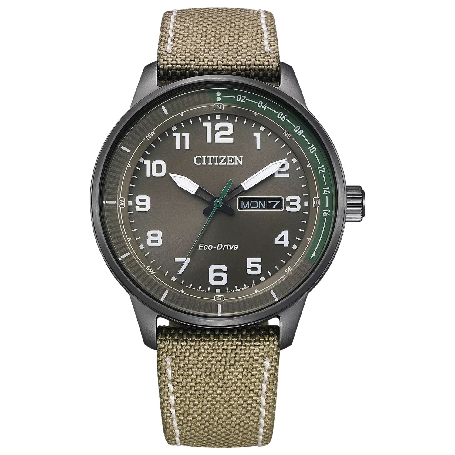 Citizen Men's Weekender