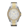 Fossil Women's Riley
