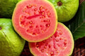 Ruby Supreme Guava Plant 10" Pot, Pink Guava Tree, Psidium guajava, Tropical Fruit Plant
