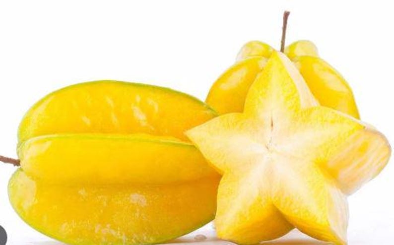 Star Fruit Tree Live Plant - Sweet Variety - 10-12 Inch in Half Gallon Pot - Averrhoa carambola
