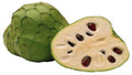 Pierce Cherimoya Tree - Grafted Live Plant in 3 Gal Pot - Cherimoya 'Pierce' - 1 to 2 Feet Tall - Tropical Fruit Plant