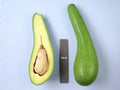Grafted Russell Long Neck Avocado Tree - 1 ft Tall in 6" Pot - Unique Gourd Shape - Persea americana