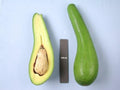 Grafted Avocado Tree 3 Gal Pot Russel Long Neck Variety Persea americana