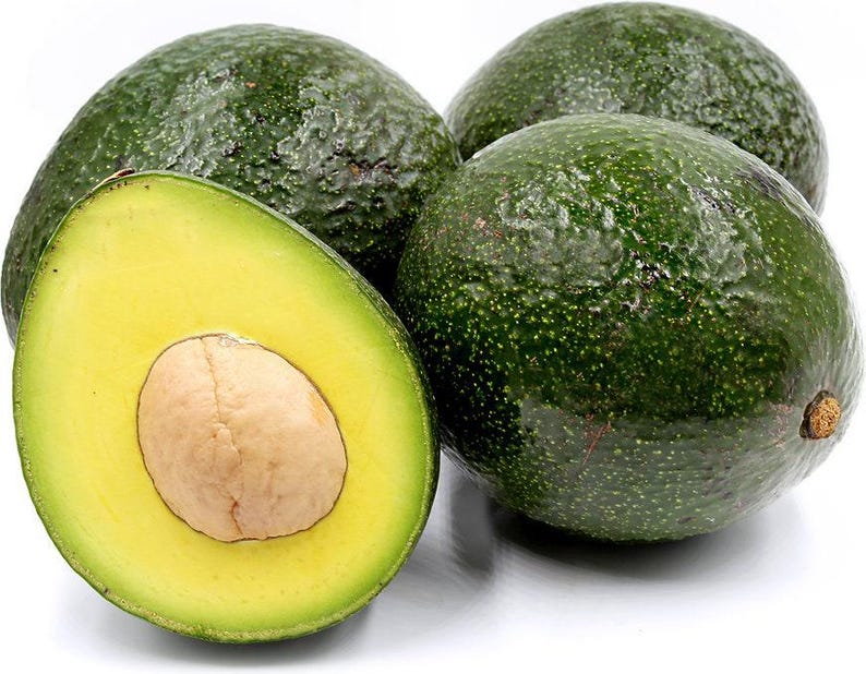 Grafted Reed Avocado Tree - 3 to 4 Feet Tall - Bigger Trunk - Persea americana